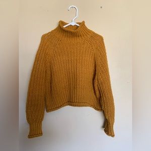 Chunky knit cropped turtleneck